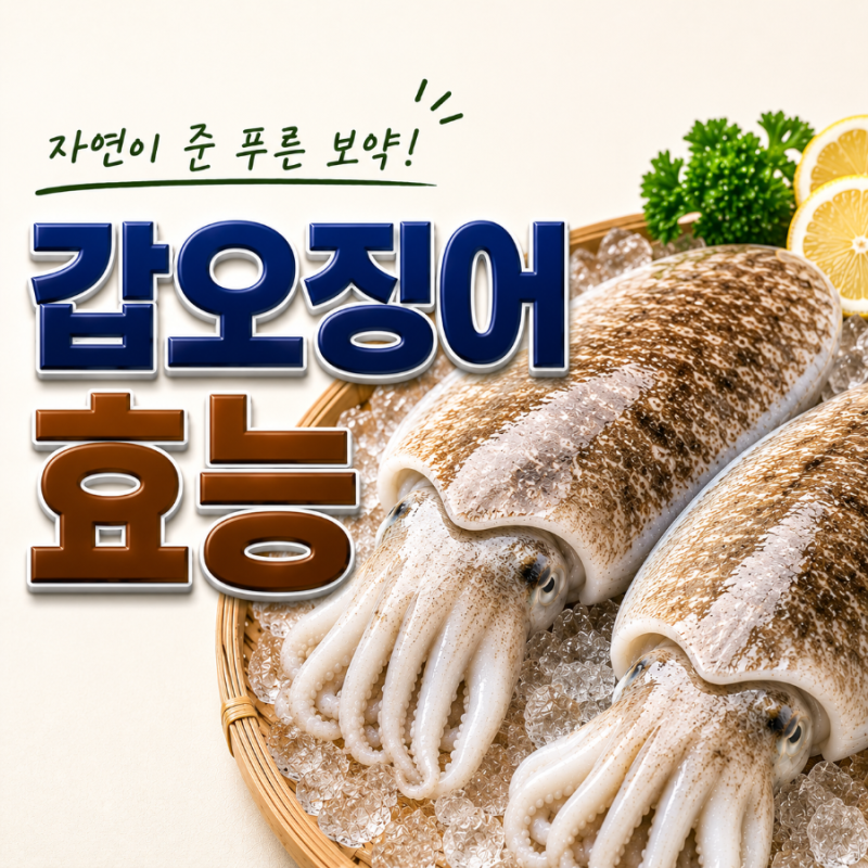 피로회복에 좋은 갑오징어 효능, 부작용, 맛있게 먹는 꿀팁