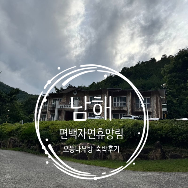 [남해]편백 자연휴양림 오동나무방 후기: 피톤치드 가득했던 힐링 1박 2일