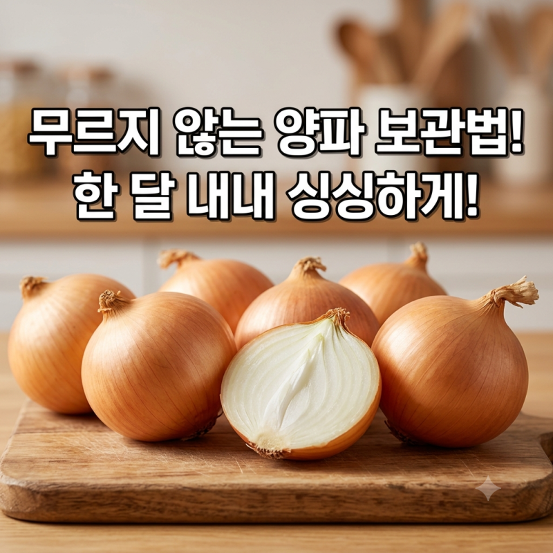 양파 안 무르게 보관하는 법 싹 나고 곰팡이 피지 않게 세 달 이상 싱싱하게 먹는 꿀팁