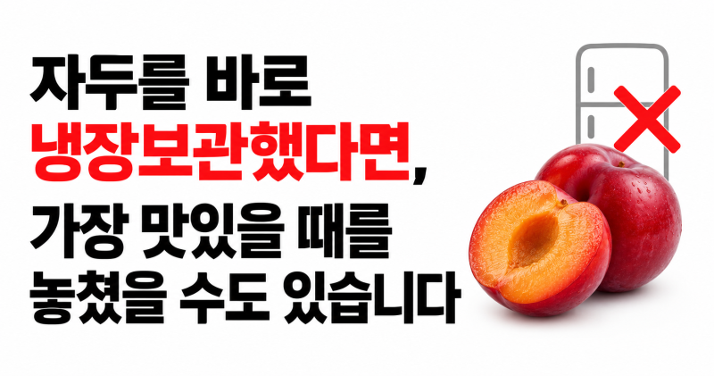 자두를 바로 냉장보관했다면, 가장 맛있을 때를 놓쳤을 수도 있습니다