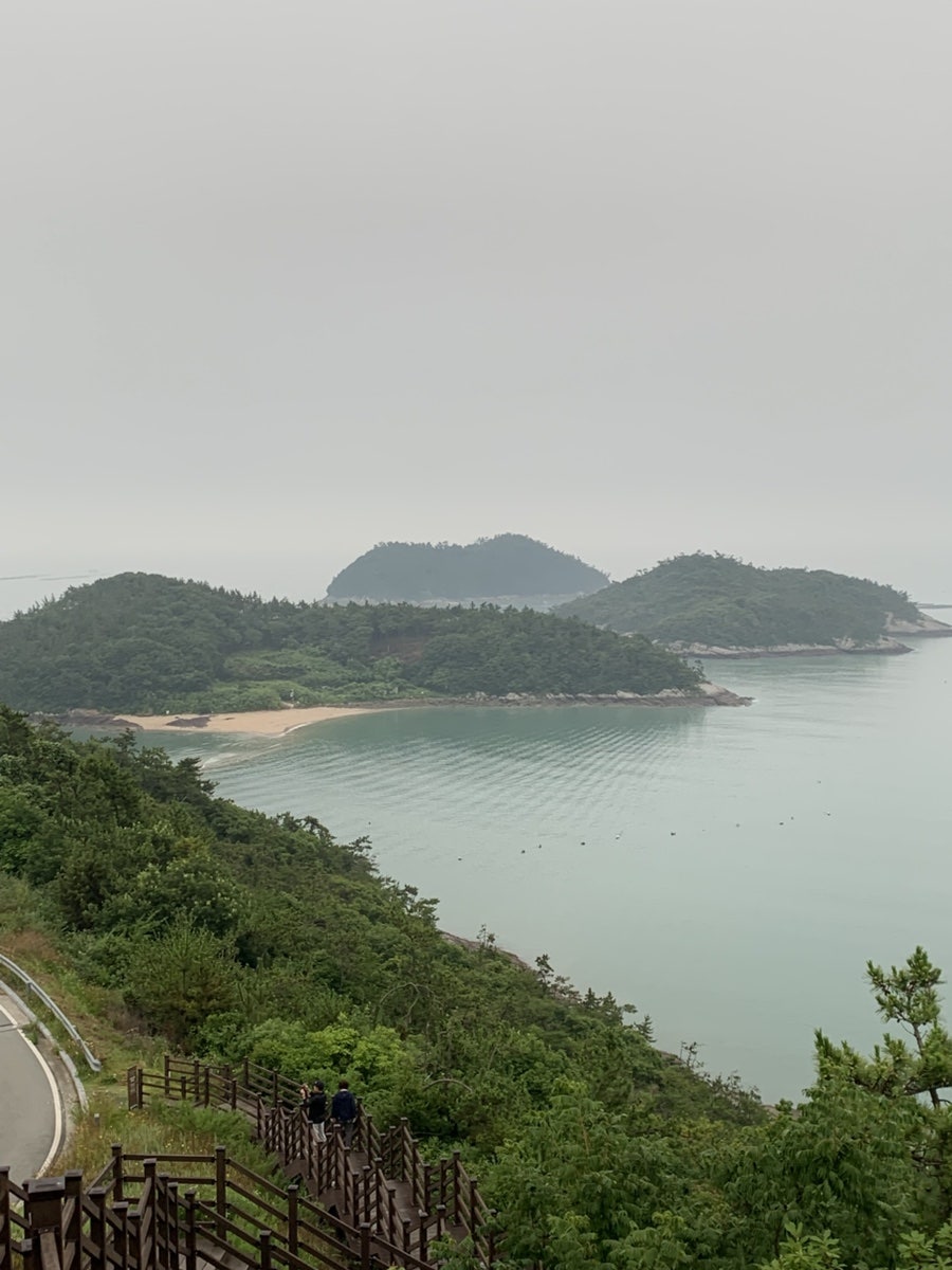 가든다담 사진 2