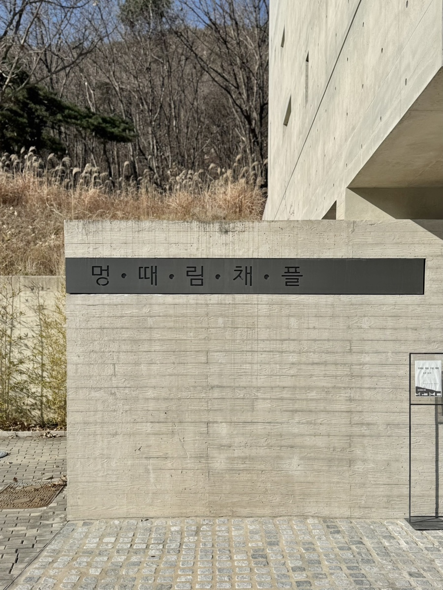 멍때림 사진 5