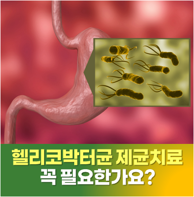 사당 내과 병원ㅣ위궤양 헬리코박터균 제균치료, 꼭 해야 할까요?