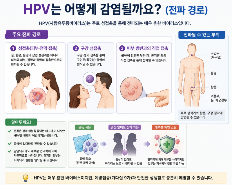 HPV 바이러스란 무엇일까요?｜가다실9가는 누구에게 왜 필요한가요?