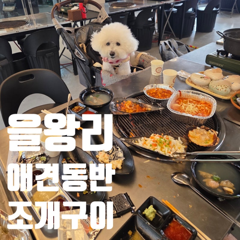 영종도 조개구이 맛집, 을왕리 마시안해변 오션뷰 불티나조개구이 애견동반 후기