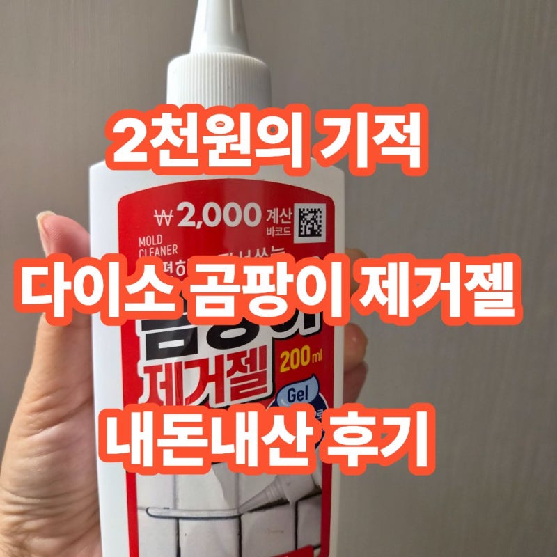 다이소 곰팡이제거젤 2천원의 행복! 욕실 줄눈 곰팡이 1시간 만에 완벽 제거(내돈내산 후기)