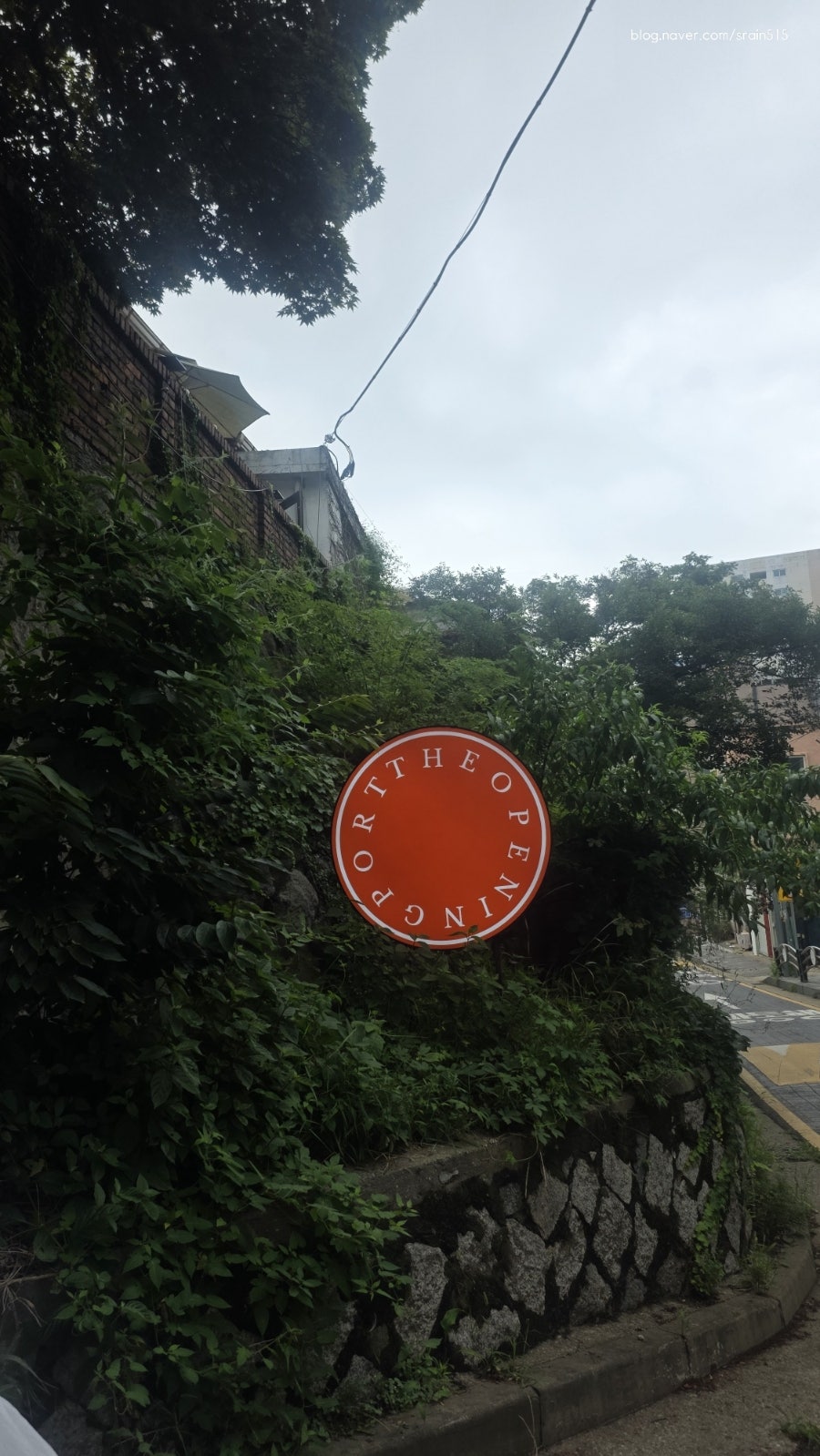 오프닝포트 사진 3