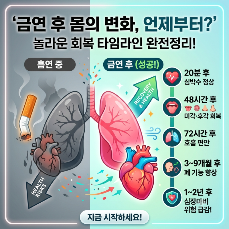 금연 후 신체변화, 몸은 언제부터 달라질까?