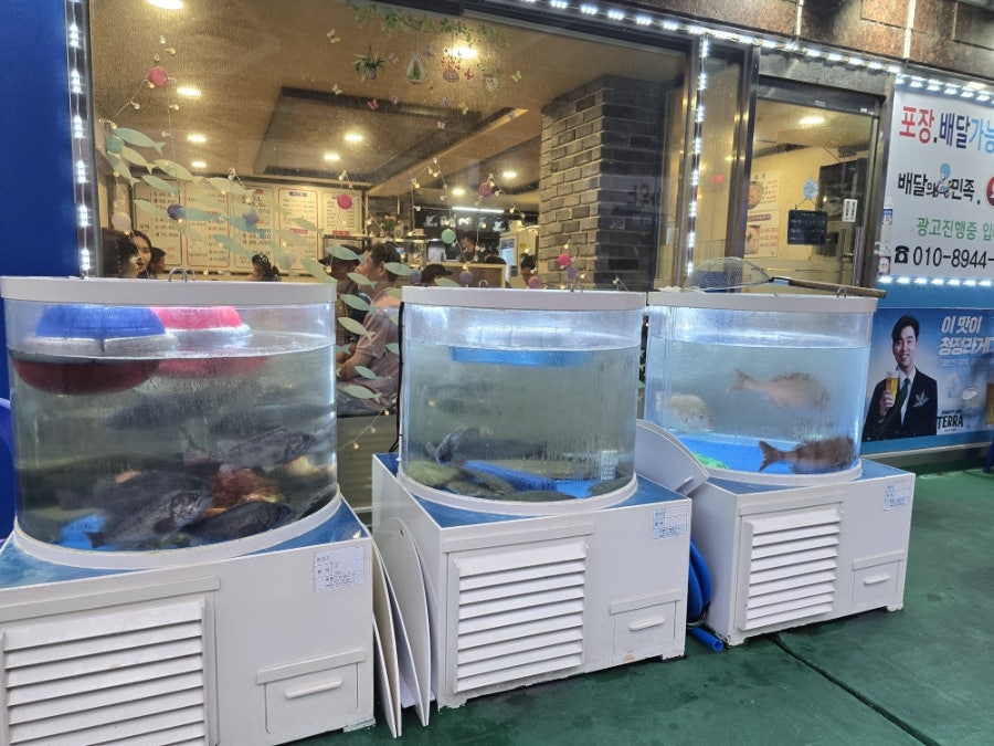 도원수산 사진 2
