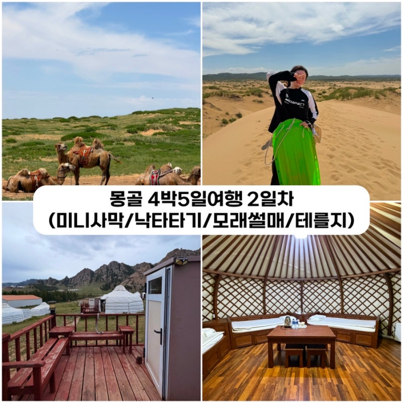 [몽골] 혼자 패키지여행 2일차 후기 (미니사막/모래썰매/낙타/테를지)