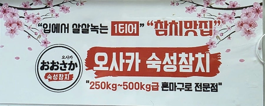 오사카 사진 2