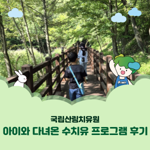 [국민기자단] 국립산림치유원 수치유 프로그램 후기 아이와 다녀온 영주 숲길 1박2일 힐링여....