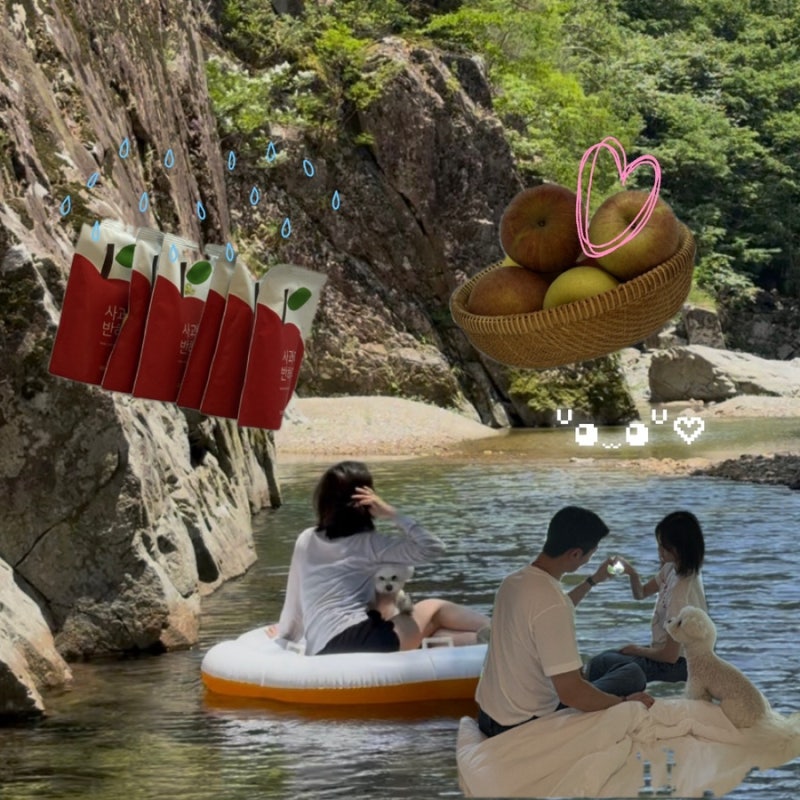 [청송 애견동반 여행] 3박4일 코스 총정리 , 맛집부터 숙소까지 완벽 정리