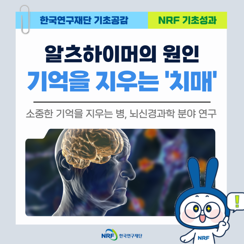 소중한 기억을 지우는 병 '치매', 알츠하이머의 원인을 밝히는 뇌신경과학 분야 연구