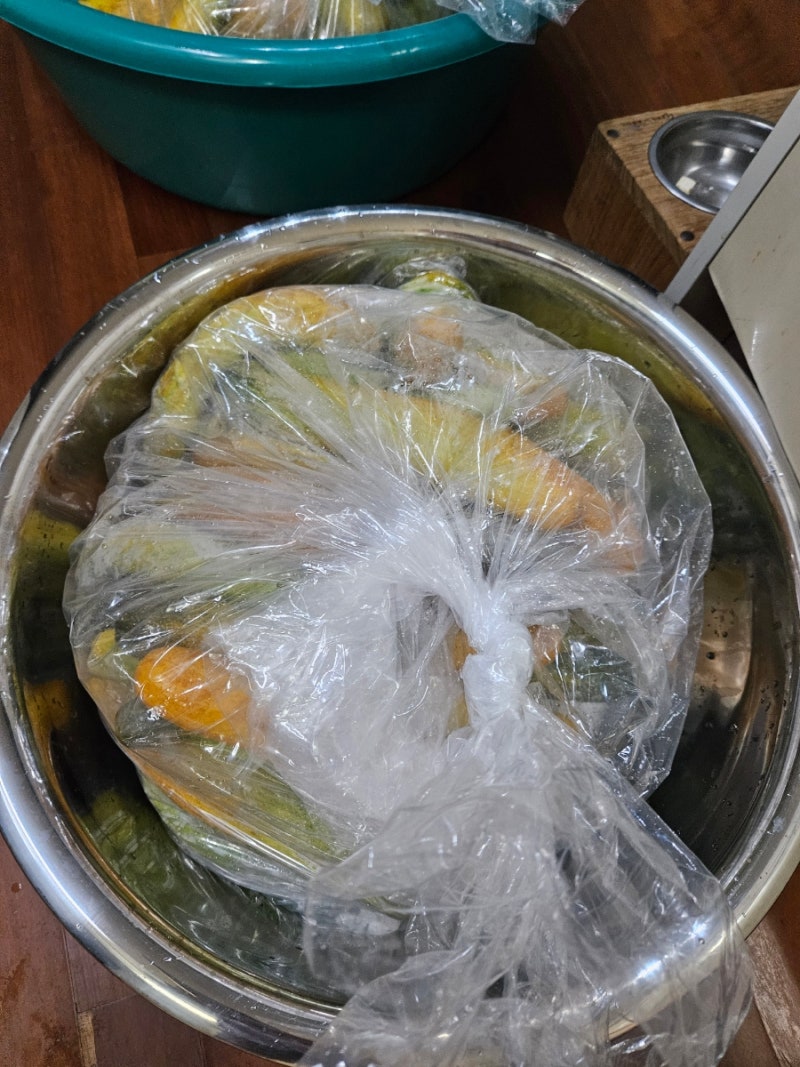 오독오독 오이지 담그기