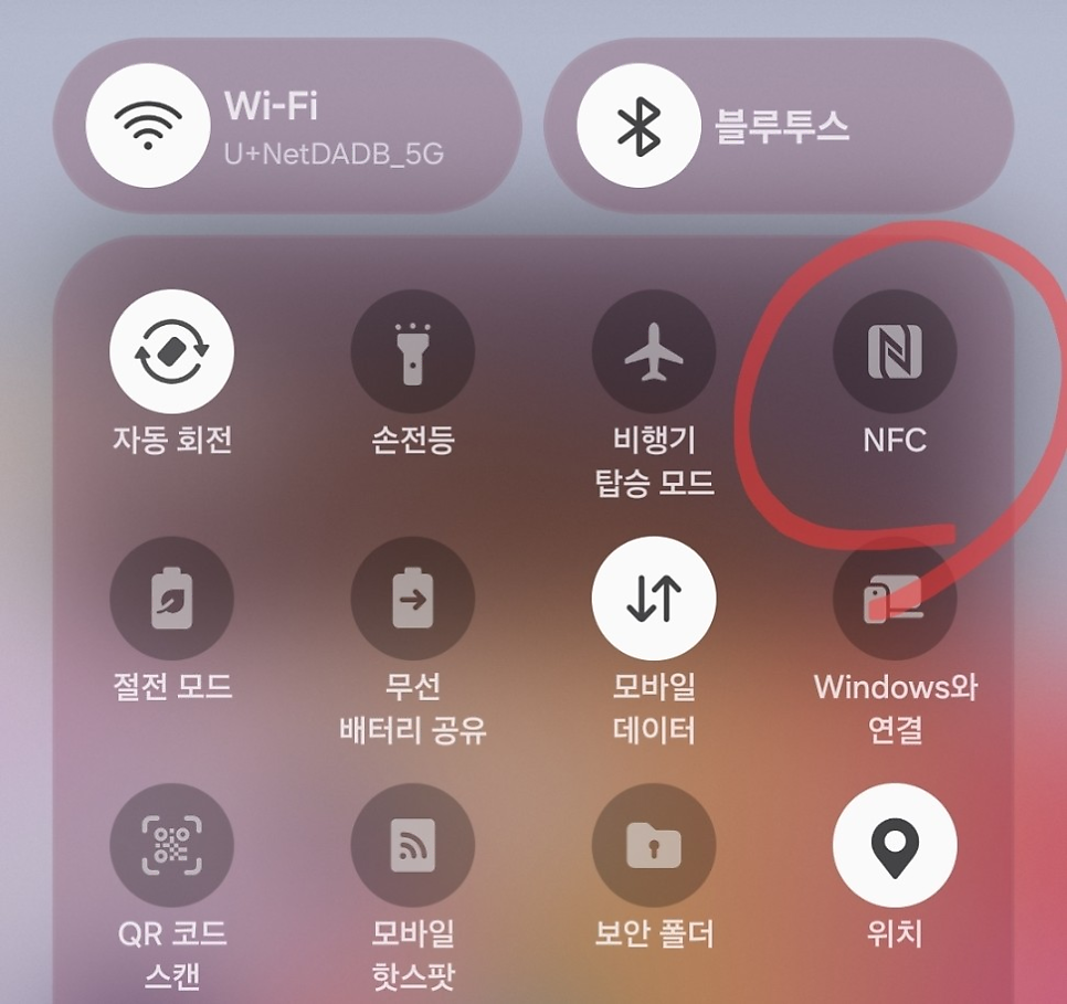 레드제플린 사진 5