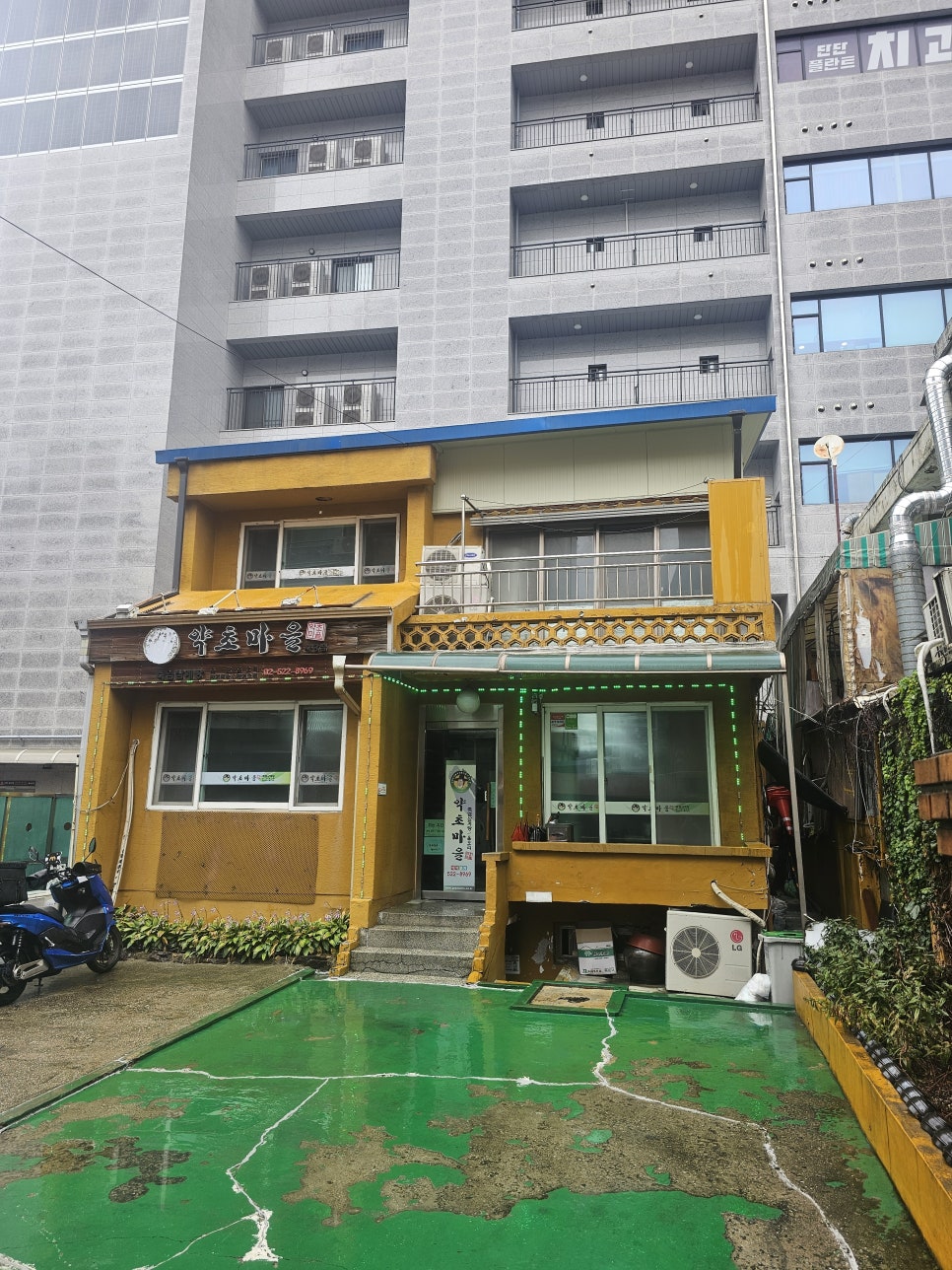 약초마을 사진 3