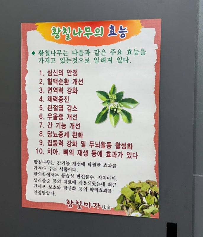 황칠미가 사진 4