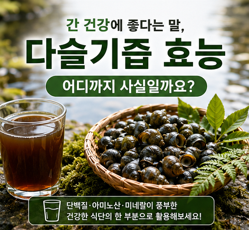 다슬기즙 효능, 간 건강에 좋다는 말 어디까지 사실일까요?