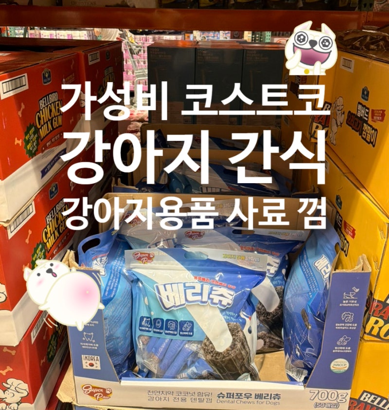 가성비최고! 코스트코 강아지간식 강아지용품 추천 리스트