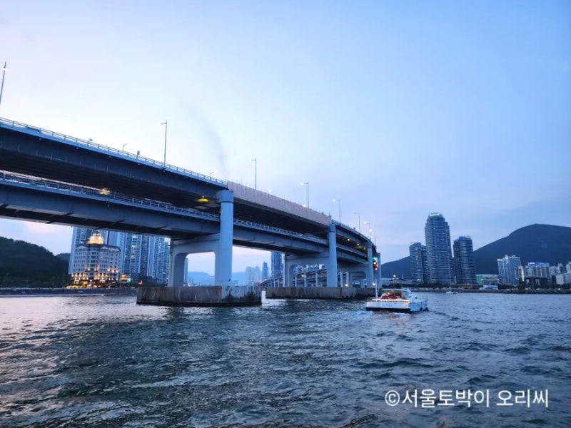 여름 부산놀거리 해운대 광안리 야경 더베이101요트 요트투어가격 예약방법 주차