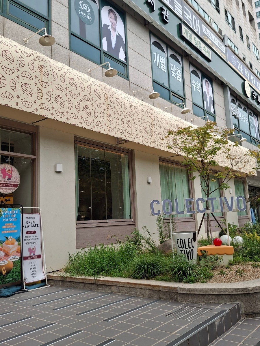 콜렉티보 사진 2
