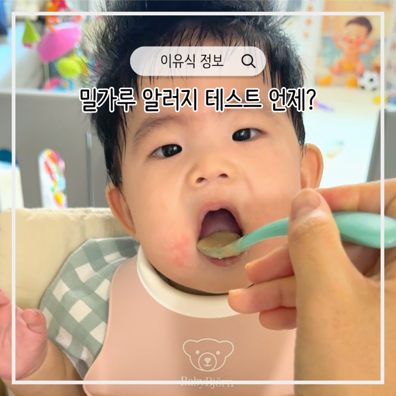초기이유식 아기 밀가루 알러지 테스트 방법 언제 시작?