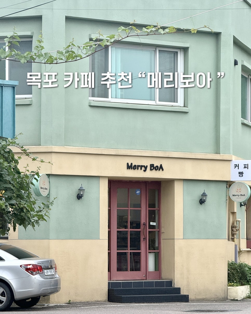 메리보아 사진 1