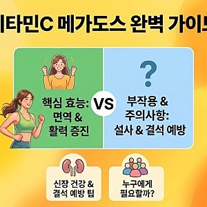 비타민C 메가도스 효능과 복용법 (신장결석 부작용 완벽 정리)