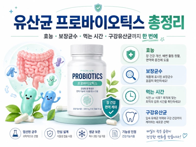 유산균 프로바이오틱스 총정리 (효능·보장균수·먹는 시간·구강유산균까지 한 번에)