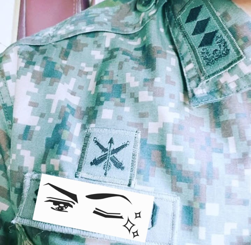 [ROTC] 전역 후 한 계급 더 올라가는 예비군? 예비역 간부 진급제도 총정리
