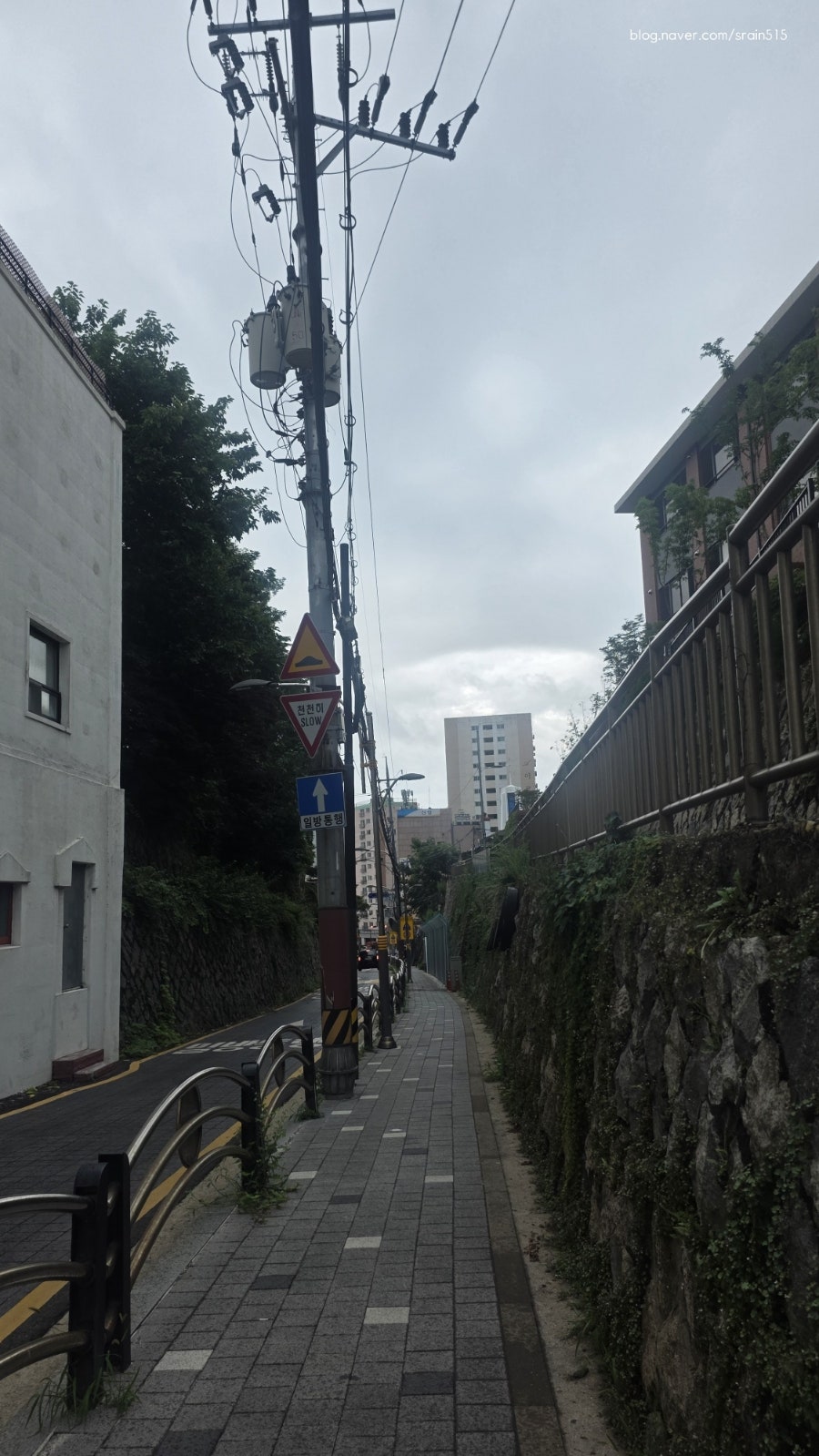 오프닝포트 사진 1