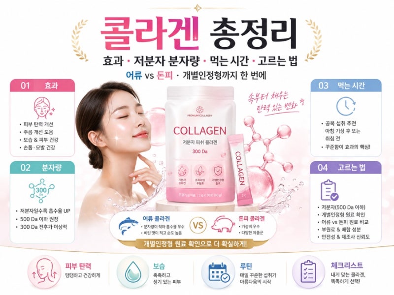 콜라겐 효과·저분자 분자량·먹는시간·고르는법 총정리 (어류vs돈피·개별인정형 솔직 정리)