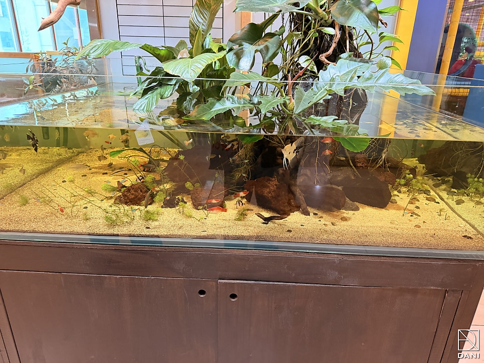 설악칡냉면 사진 4