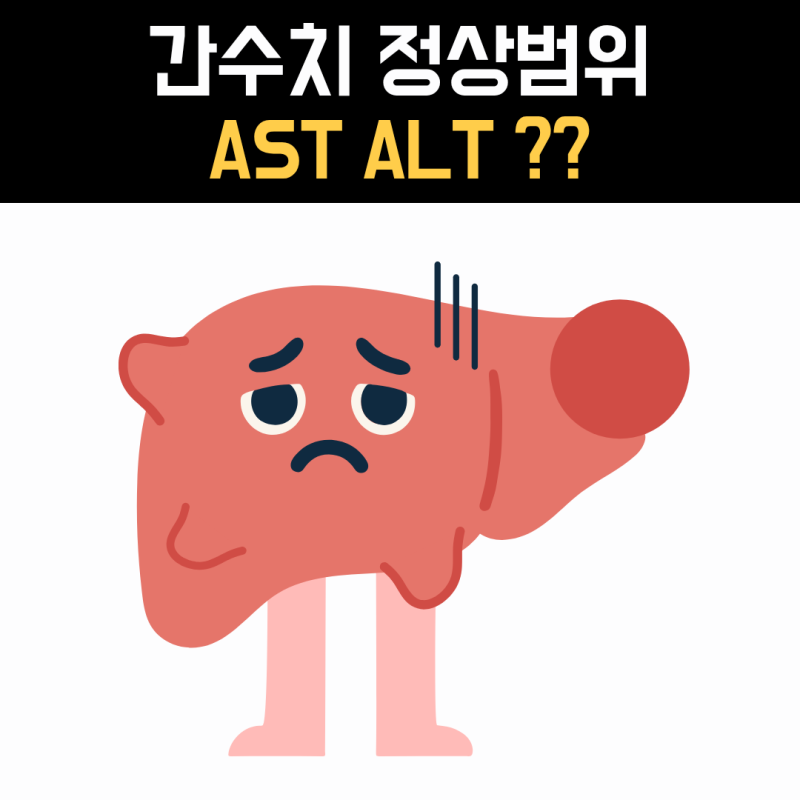 간수치 정상범위, 건강검진 AST·ALT 높게 나오면 어디까지 괜찮을까요?
