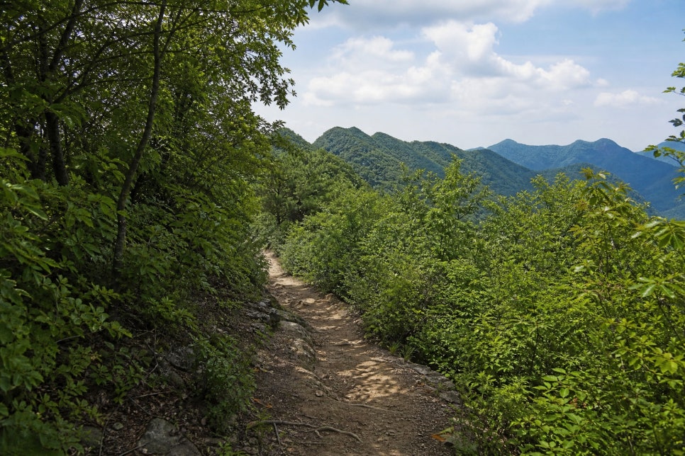 두룽산 사진 4