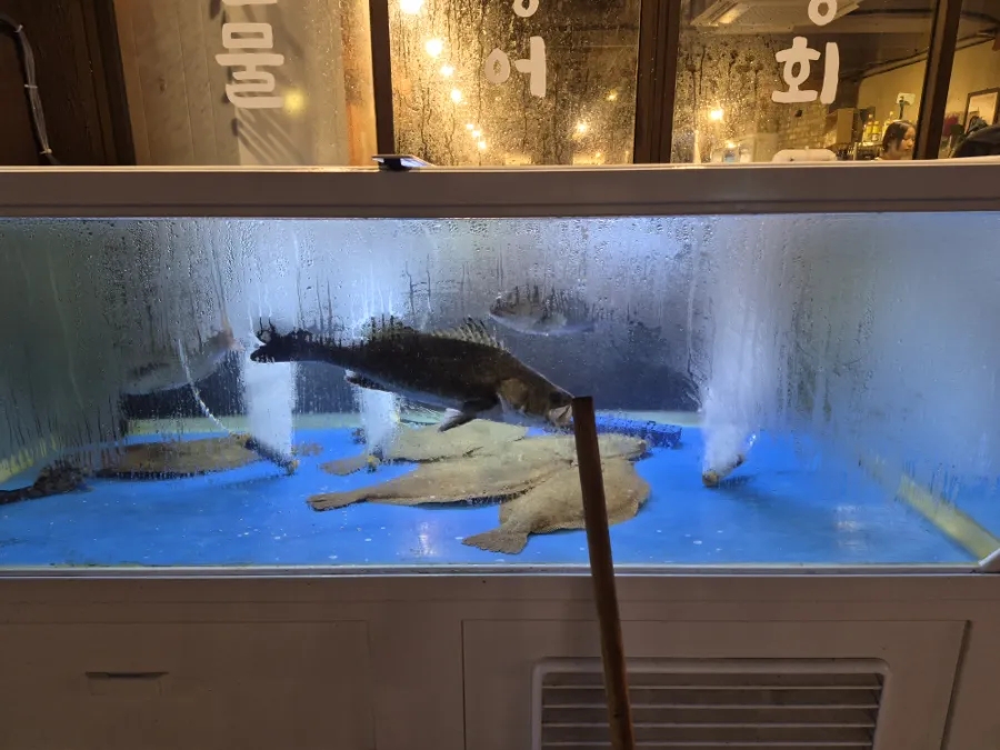 올림픽횟집 사진 2