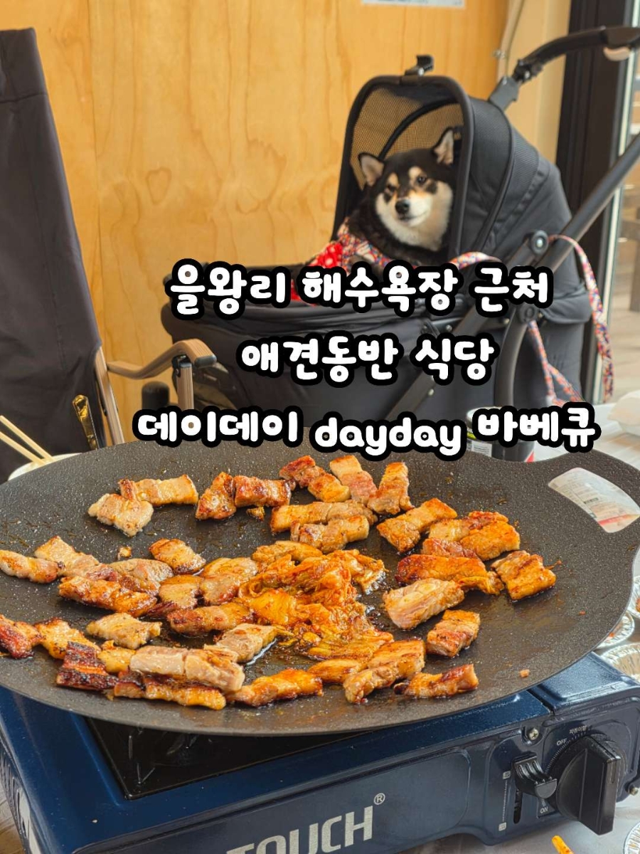 데이데이 사진 1