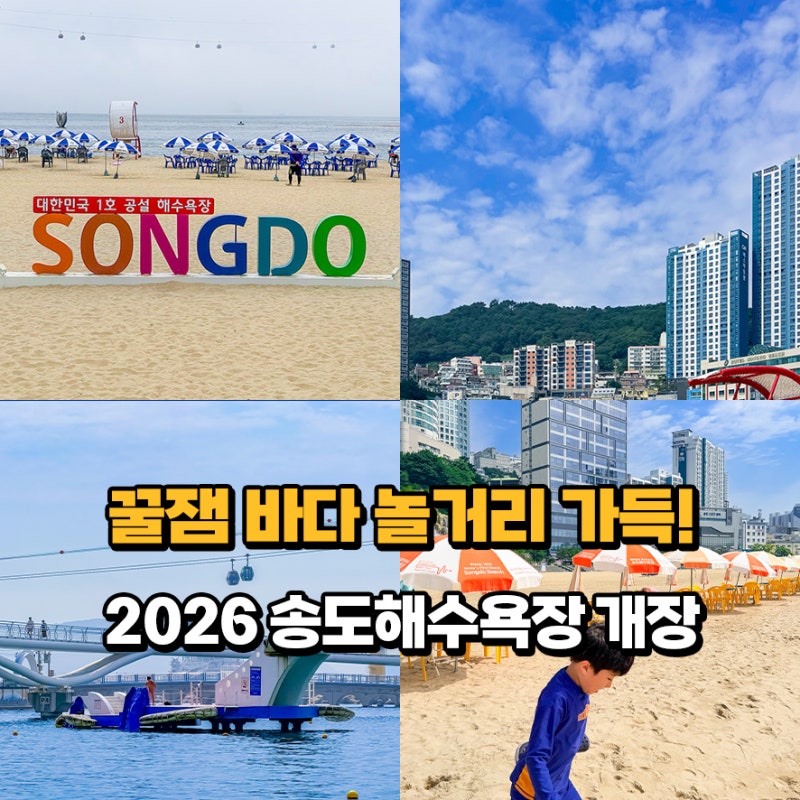 "물놀이부터 케이블카까지!" 놀거리 가득한 부산바다 2026 송도해수욕장 개장 주차 파라솔 대....
