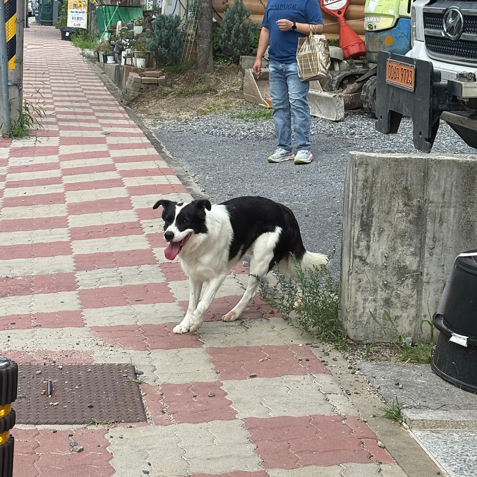미미초밥 사진 1