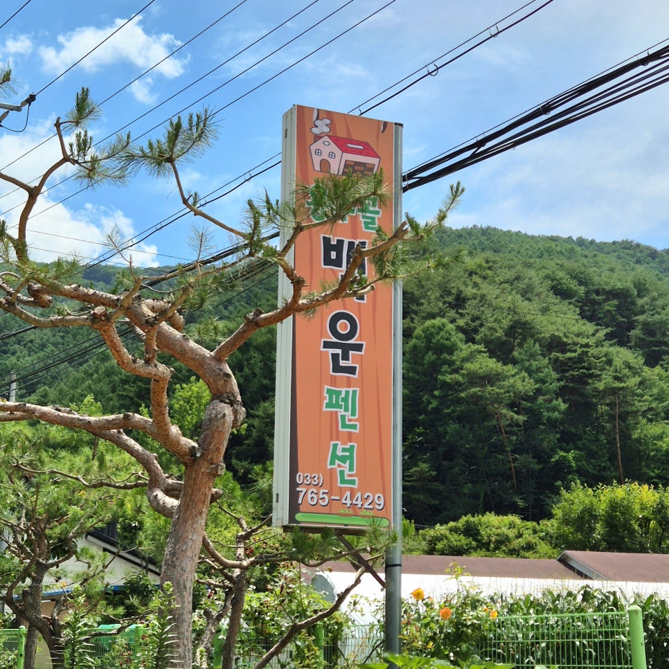 용수골백운펜션 사진 5