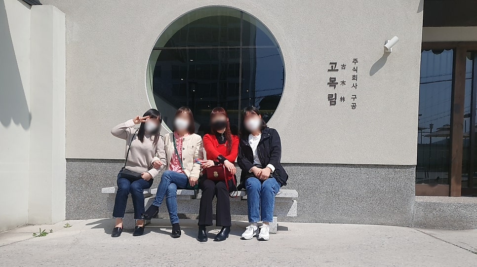 고목림 사진 1