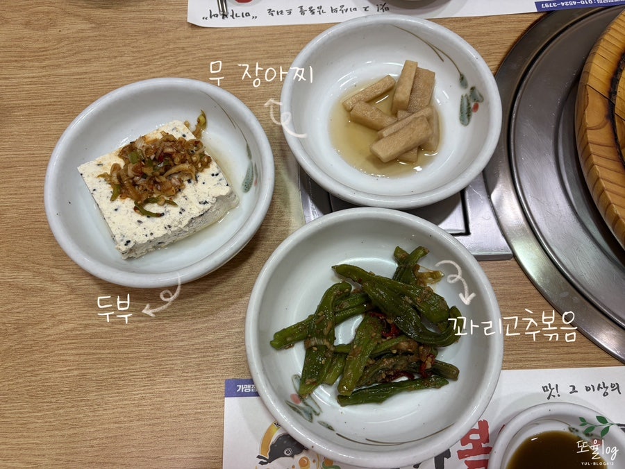 미가복어 사진 4