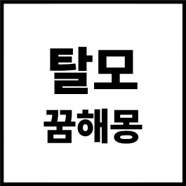 탈모 꿈해몽 총정리｜머리카락이 빠지는 꿈, 탈모가 되는 꿈, 대머리 꿈, 머리숱이 줄어드는 ....