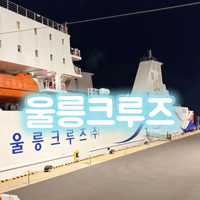 울릉도 여행 울릉크루즈 6인실 포항 영일만항 울릉도 사동항 배편 탑승후기