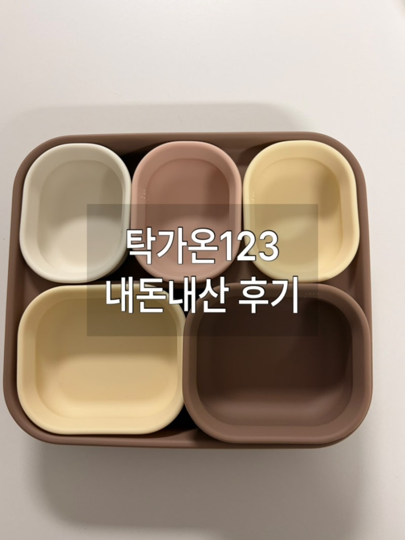 탁가온 내돈내산 후기, 토핑볼부터 4구 식판까지 구매한 이유