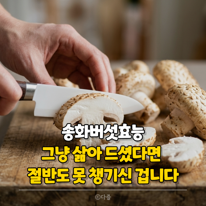 송화버섯효능, 그냥 삶아 드셨다면 절반도 못 챙기신 겁니다