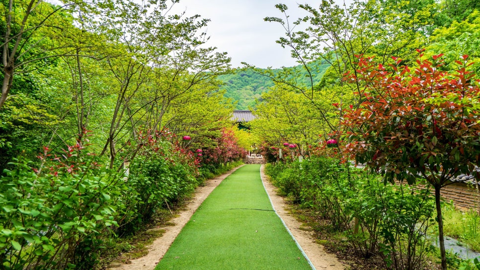 천봉산 사진 4