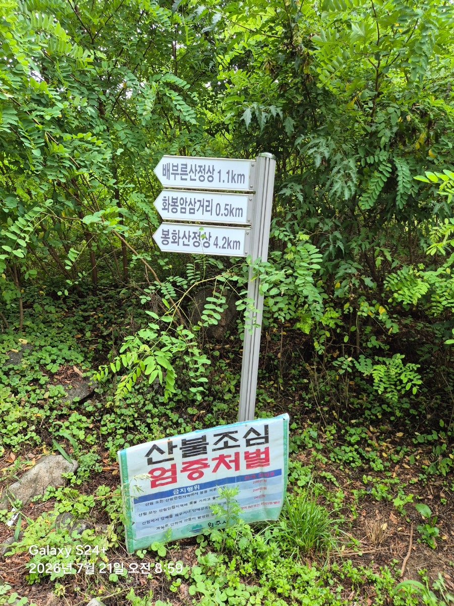 감박산 사진 6