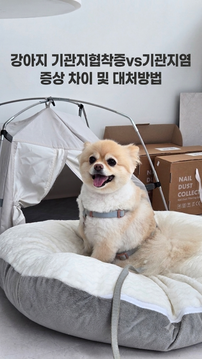 강아지 기관지협착증 기관지염 증상 차이 및 대처방법